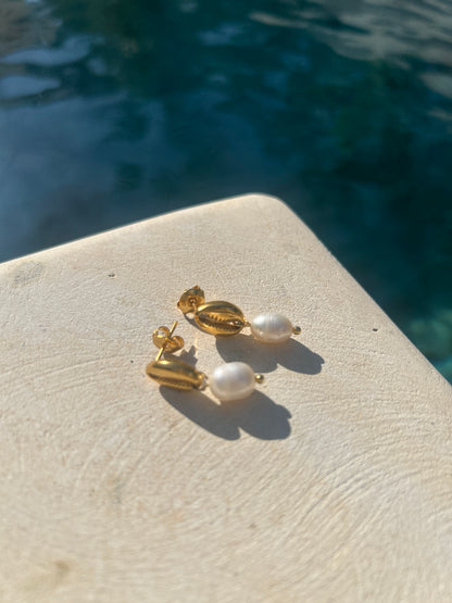 Ayu - Shell Earrings
